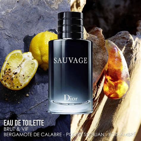 Dior Sauvage Eau de Toilette Men Swe